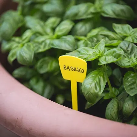 Hotel Cambridge Lido di Jesolo