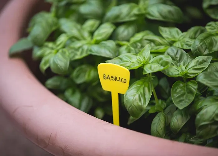 Hotel Cambridge Lido di Jesolo